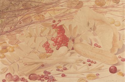 Stilleven met Kruisbessen, Frambozen, Rode Bessen, Lente-uitjes, een Augurk en Bladeren door Richard Dadd