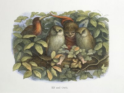 Elf en uilen door Richard Doyle