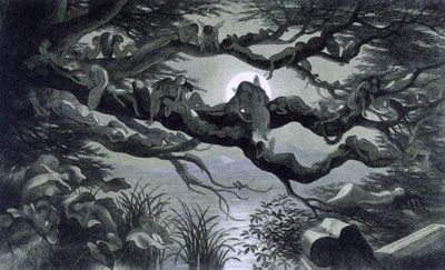 Fees, nimfen en elfen rustend in het maanlicht op een tak? Illustratie van "In Fairy land. A series of pictures from the elf-world" door Richard Doyle 1869-1870 The British Library Institution Reference: Shelfmark ID: 1876 e18 