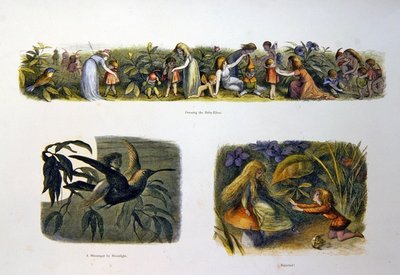 In sprookjesland door Richard Doyle
