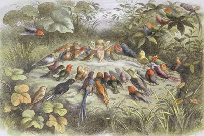 Muziekrepetitie in Feeënland (Illustratie uit "In Feeënland. Beelden uit de Elfen-Wereld", door William Allingham en Andrew Lang door Richard Doyle