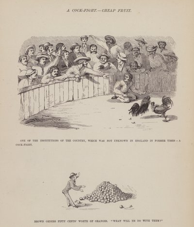 Pagina uit De Amerikaanse Tour van de heren Brown, Jones en Robinson door Richard Doyle