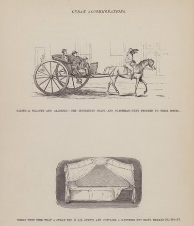 Pagina uit De Amerikaanse Tour van de heren Brown, Jones en Robinson door Richard Doyle