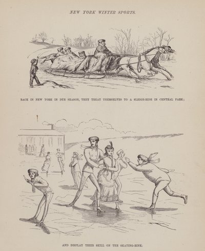 Pagina uit De Amerikaanse Tour van de heren Brown, Jones en Robinson door Richard Doyle