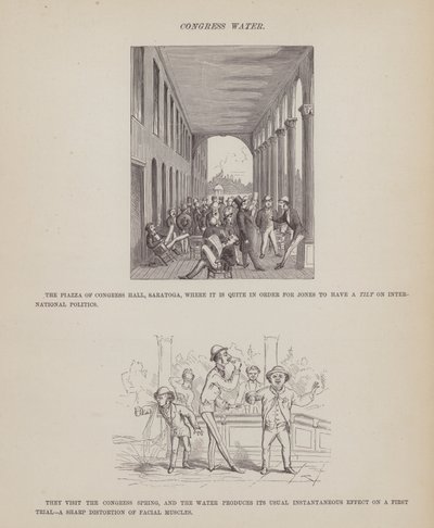 Pagina uit De Amerikaanse Tour van de heren Brown, Jones en Robinson door Richard Doyle