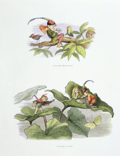 Arme kleine vogel gepest, en verkorte hofmakerij, illustraties uit 