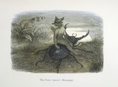 De boodschapper van de feeënkoningin door Richard Doyle