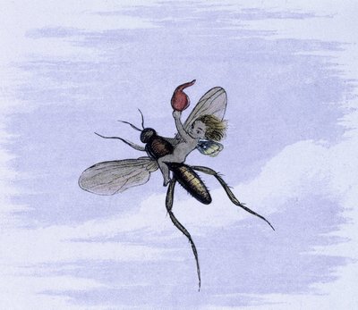 Een elf op de rug van een insect. Illustratie van Richard Doyle uit "In Fairy land. A series of pictures from the elf - world" vergezeld van een gedicht van W Allingham. 1869-1870 door Richard Doyle