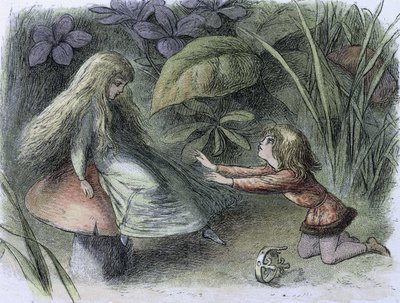 Waterlelies en waterfeeën van de periode, c1869-c1870 door Richard Doyle