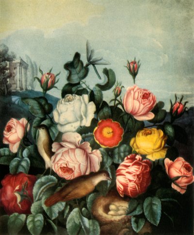 Rozen, 1799 door Richard Earlom