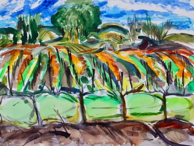 Herfst Wijngaarden, Napa, 2017 door Richard Fox