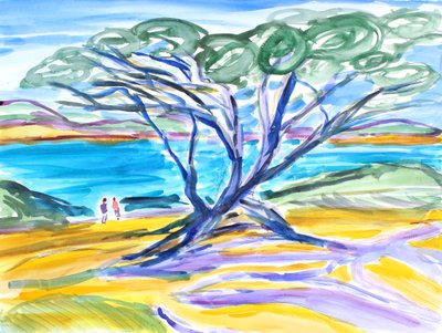 Cipresboom, Carmel, 2019 door Richard Fox