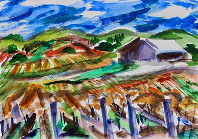 Napa in de Herfst, 2017 door Richard Fox
