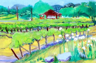 Wijngaard op Zinfandel Lane, Napa, 2019 door Richard Fox
