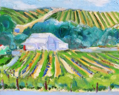 Witte schuur en wijngaard, Napa, 2019 door Richard Fox
