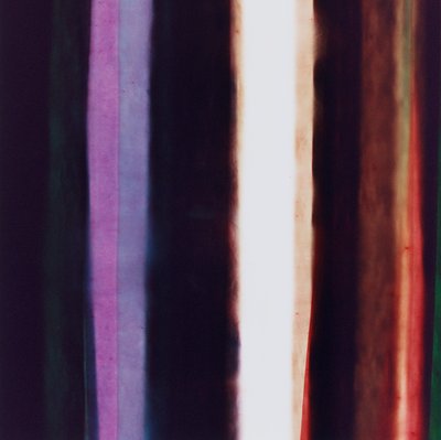 Streep IV, 2005 door Richard Green