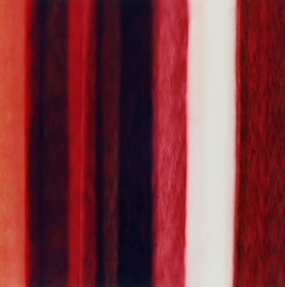 Streep XII, 2005 door Richard Green