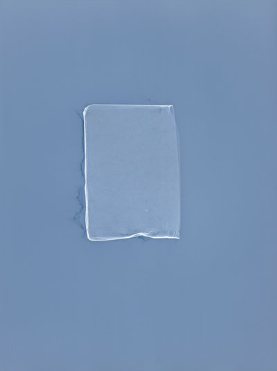 Zonder Titel, 2001 door Richard Green