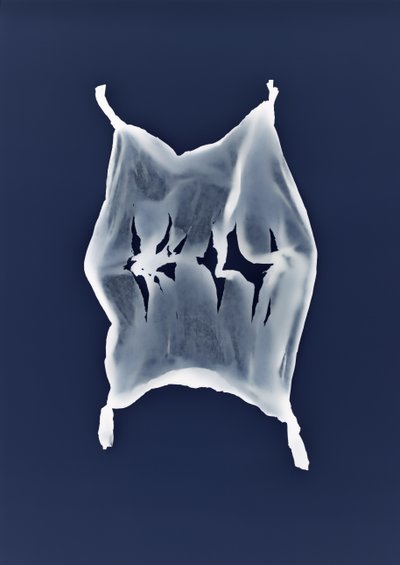 Zonder titel, 2003 door Richard Green