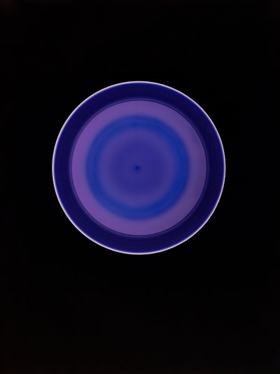 Zonder Titel, 2004 door Richard Green