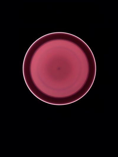 Zonder Titel, 2004 door Richard Green