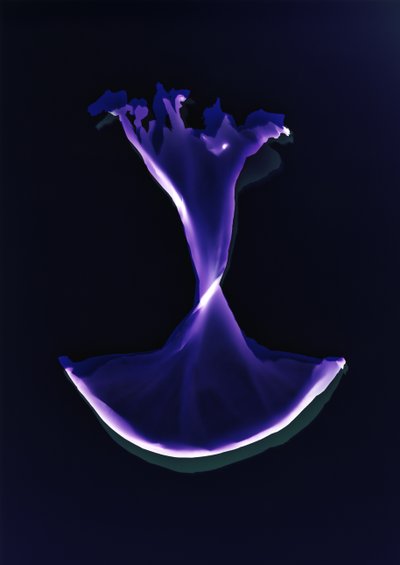 Zonder titel, 2004 door Richard Green