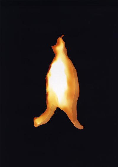 Zonder titel, 2004 door Richard Green