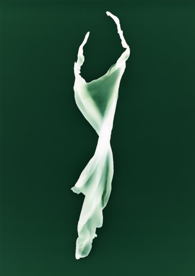 Zonder titel, 2004 door Richard Green