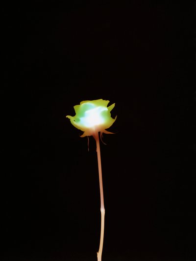 Zonder Titel, 2007 door Richard Green
