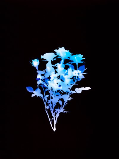 Zonder Titel, 2008 door Richard Green