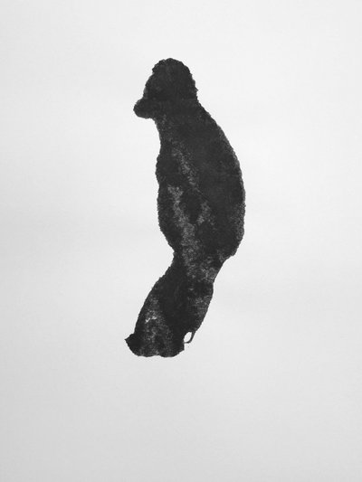 Zonder titel, 2009 (monotype) door Richard Green