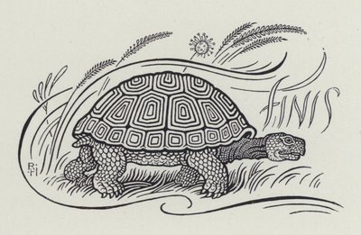 De Haas en de Schildpad (gravure) door Richard Heighway