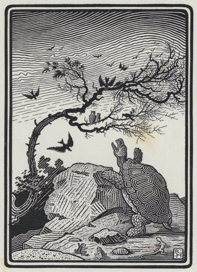 De Schildpad en de Vogels (gravure) door Richard Heighway