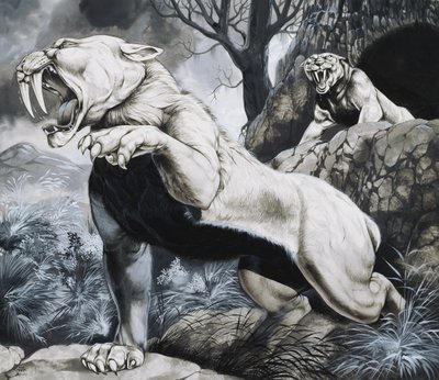 Sabeltandtijgers (gouache op papier) door Richard Hook