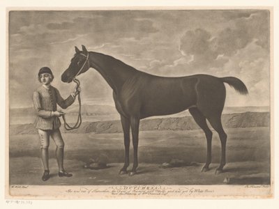 Racepaard met jockey door Richard Houston