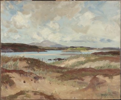 Anglesey door Richard Jack