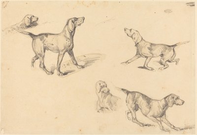 Vijf studies van een Franse pointer door Richard Parkes Bonington