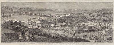 Deel van de stad en haven van Dunedin, de hoofdstad van Otago, Nieuw-Zeeland door Richard Principal Leitch
