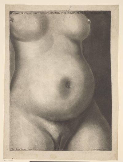 Torso van een zwangere vrouw door Richard Purcell