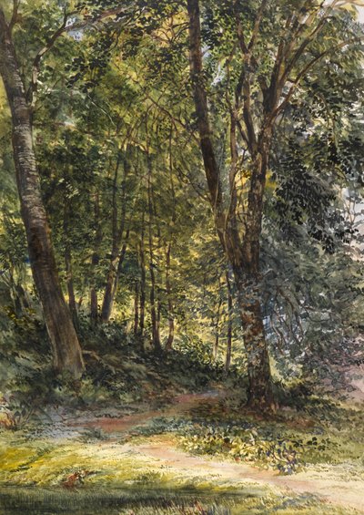 Zonovergoten Bossen, Surrey door Richard Redgrave
