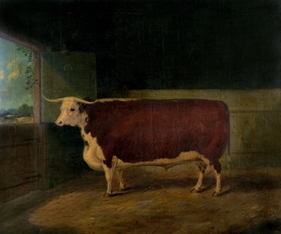 Portret van een Prijswinnende Hereford Stier, 1874 door Richard Whitford