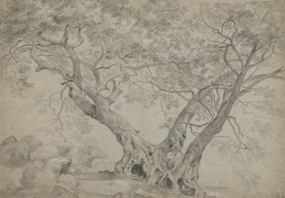 De Arbra Sacra aan de oevers van het Meer van Nemi, c.1754-56 door Richard Wilson