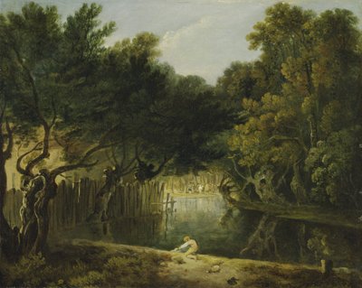 Uitzicht op de Wildernis in St. James
