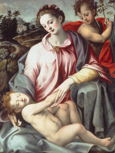 De Madonna en Kind met de Jonge Sint Johannes de Doper door Ridolfo Ghirlandaio