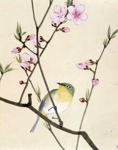 Vogel - Japanse tekening door Riou Chim, eind 19e eeuw door Riu Chim