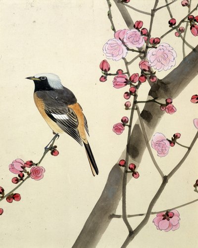 Vogel - Japanse tekening door Riou Chim, eind 19e eeuw door Riu Chim