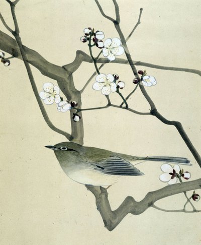 Vogel door Riu Chim
