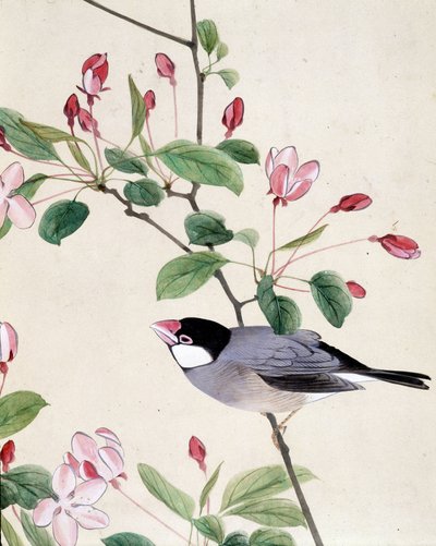 Vogel - Japanse tekening door Riou Chim, eind 19e eeuw door Riu Chim