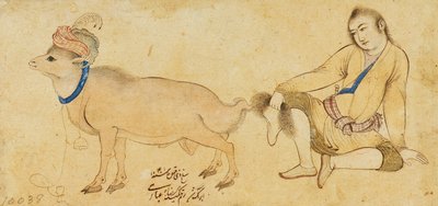 Studie van een Jonge Man en een Ram, 1630-31 of Later door Riza i Abbasi