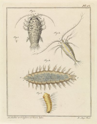 Agaatpissebed, copepode en borstelworm door Robbert Muys